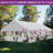 Heavy Duty Galvanized Steel Dome Canopy-105426972