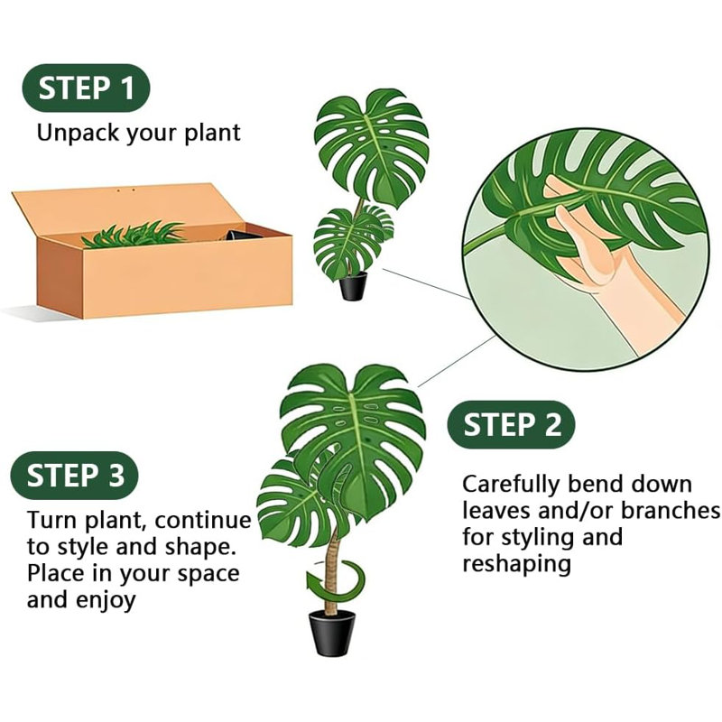 120cm Plant
