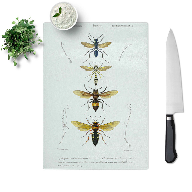 Tempered Glass Wasp Illustrations PL. 2 by Charles D' Orbigny Chopping Board, 28.5cm W x 39cm L