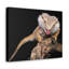 No Frame Print on Canvas-55870063