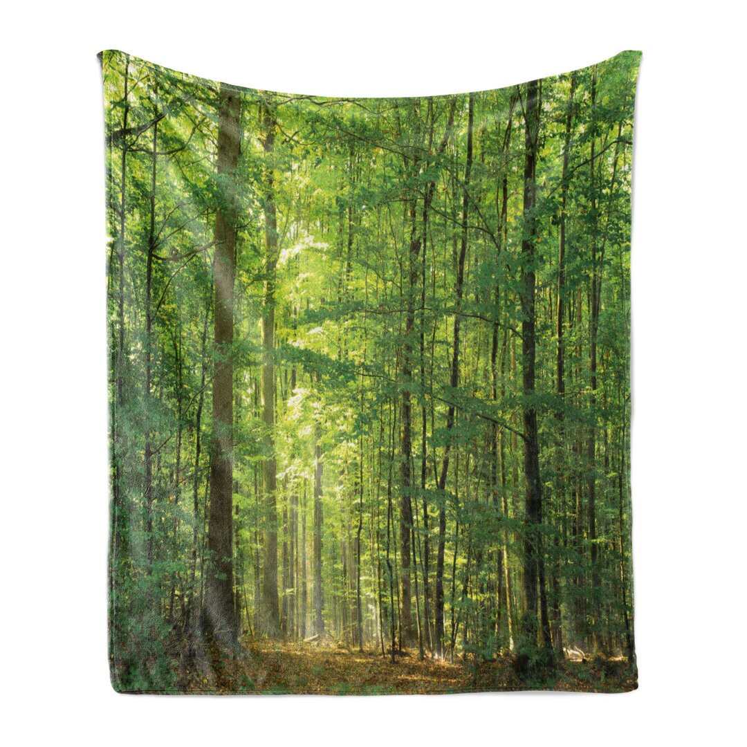 Weich Flanell Fleece Decke, Laub Wald Sommer, Wald, Grün