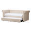 Mickel Upholstered Twin Daybed with Trundle-1669321985