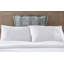 Halimton Euro Pillow Cover & Insert-1519984026