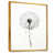 Gold Floater Framed