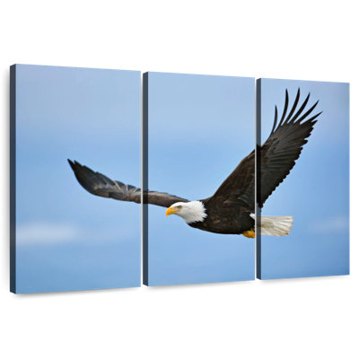 Gliding Bald Eagle