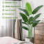 Rontez Faux Plant-2043113625