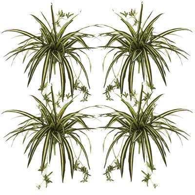 23'' Flowering Plant