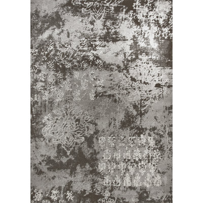 Tapis argenté area Folsom