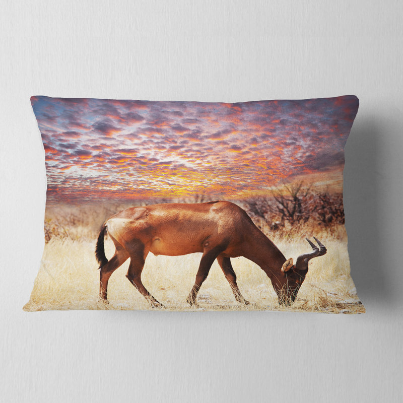 Coussin lombaire en antilopes africain