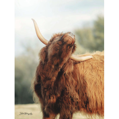 Gaenside The Itchy Cow II par Dakota Diener