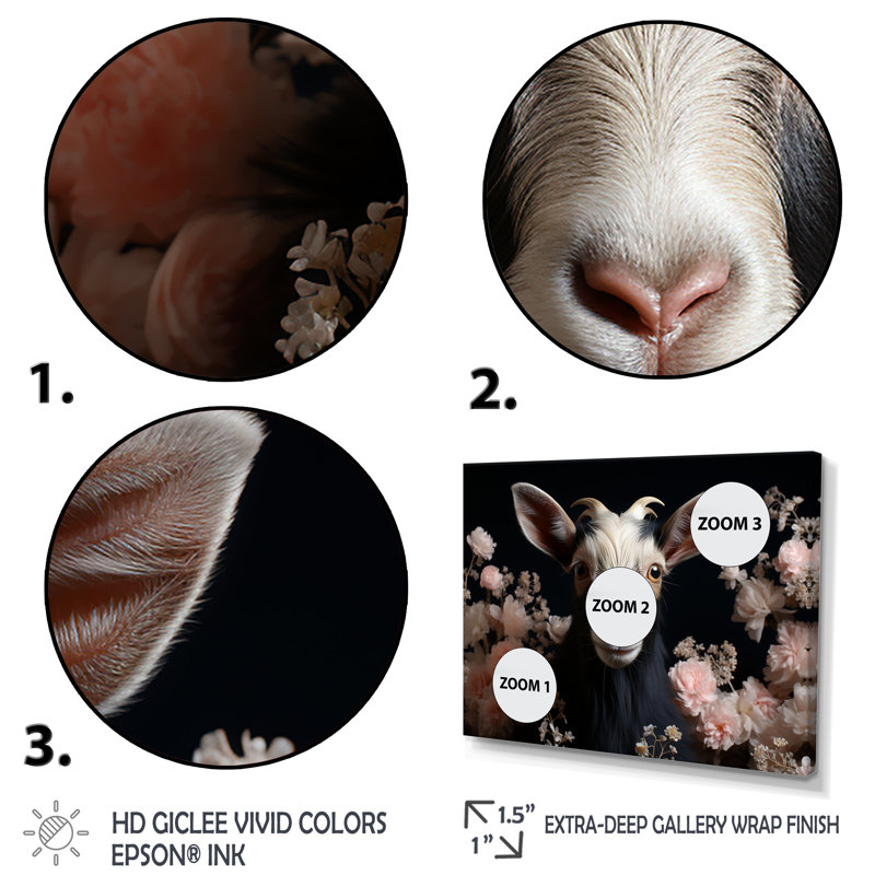 Portrait de chèvre blanc et rose - art mural animal de chèvre, Cadre flottant noir, H 12 po x l 20 po x P 1 po