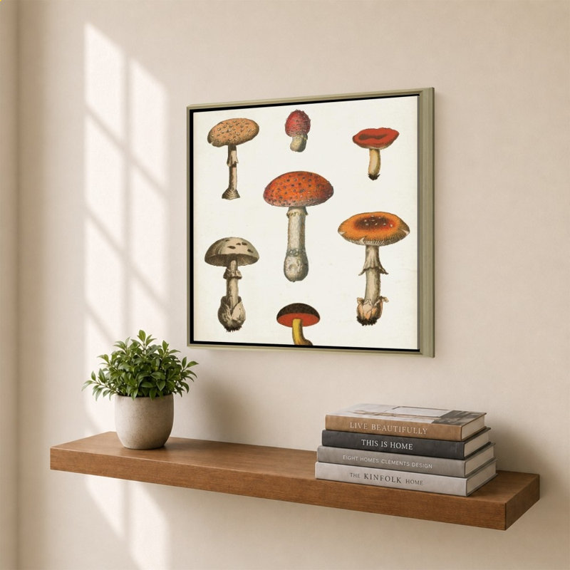 «Mushroom Chart III Light» par Wild Apple Portfolio - impression sur toile, Champagne, H 34 po x l 34 po