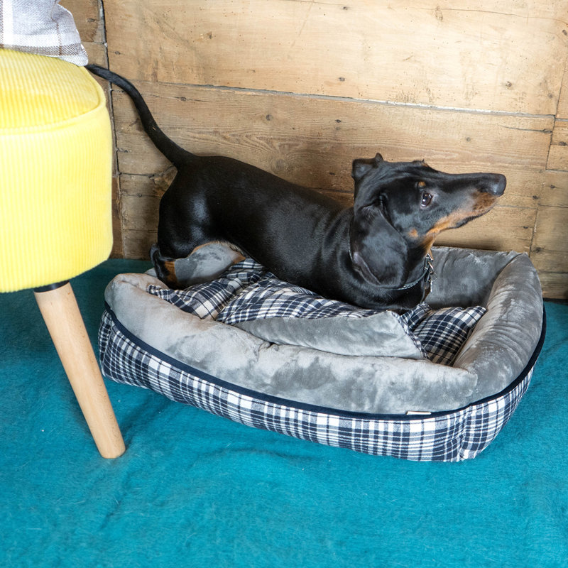 Winford Polyester Pet Bed, Medium