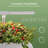 NANAN Hydroponic Unit