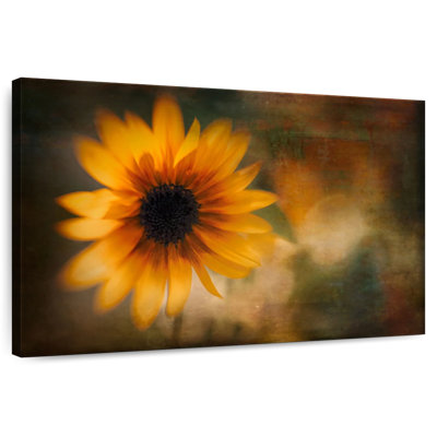 Tournesol d'été
