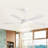 Whisper 52" 5 ABS Blade Propeller Classic Ceiling Fan with LED Lights and Remote Control-650897668