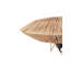 Anegla Iron Novelty Lamp