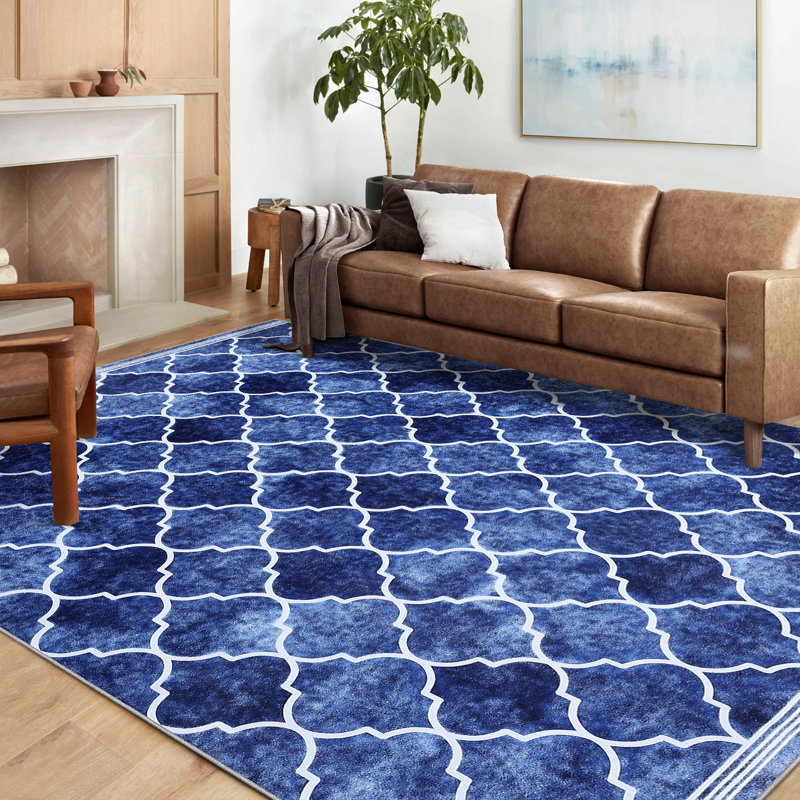 Ranisav Washable Moroccan Indoor Rug, Rectangle 5' x 7'