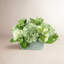 Hydrangeas with Berries Floral Arrangement