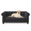 Élégant lit pour animaux de compagnie rectangulaire pour petits et moyens chiens, canapé-lit surélevé durable, canapé pour chien confortable, canapé pour chien en lin moderne et tendance - noir-472480990