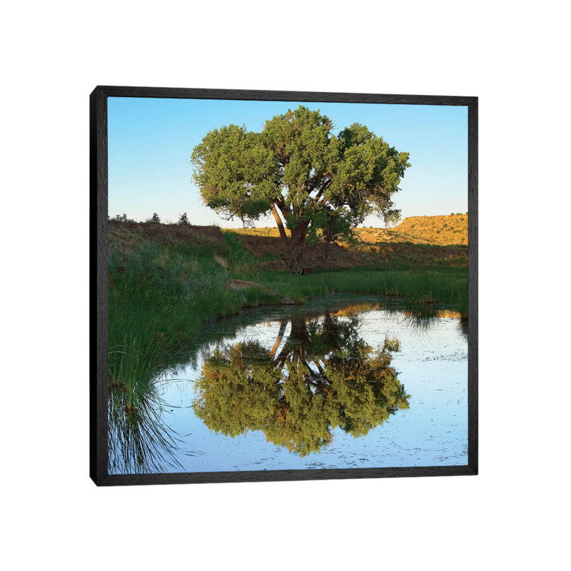 Tree Reflecting In Creek Near Black Mesa State Park, Oklahoma 1 Piece Wall Art on Canvas, 93.98 cm H x 93.98 cm W