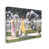 Wrapped Canvas