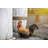 Squatting Rooster Statue