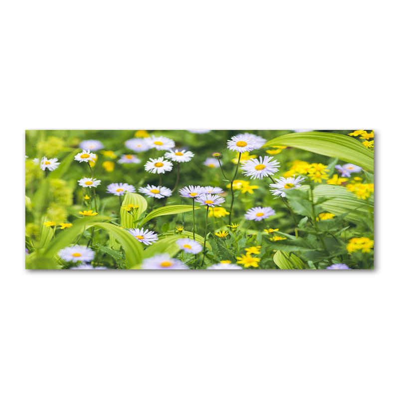 Daisies - Wrapped Canvas Print