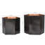 Metal Pot Planter-1642570876