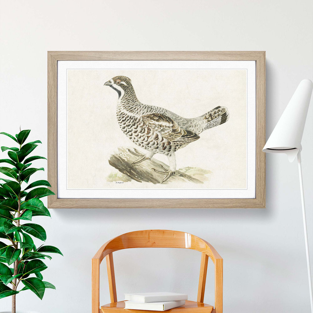 Hazel Grouse by Von Wright - Picture Frame Painting Print