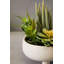 24cm Faux Succulent in Ceramic Pot