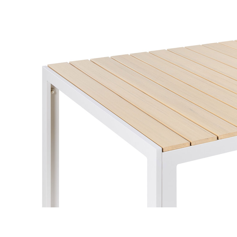 Alagic 6 - Person Patio Dining Set Rectangular Table