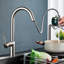 Belfry Kitchen Moindou Pull Out Kitchen Faucet