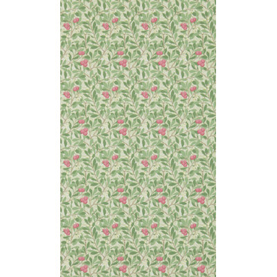 Arbutus Wallpaper