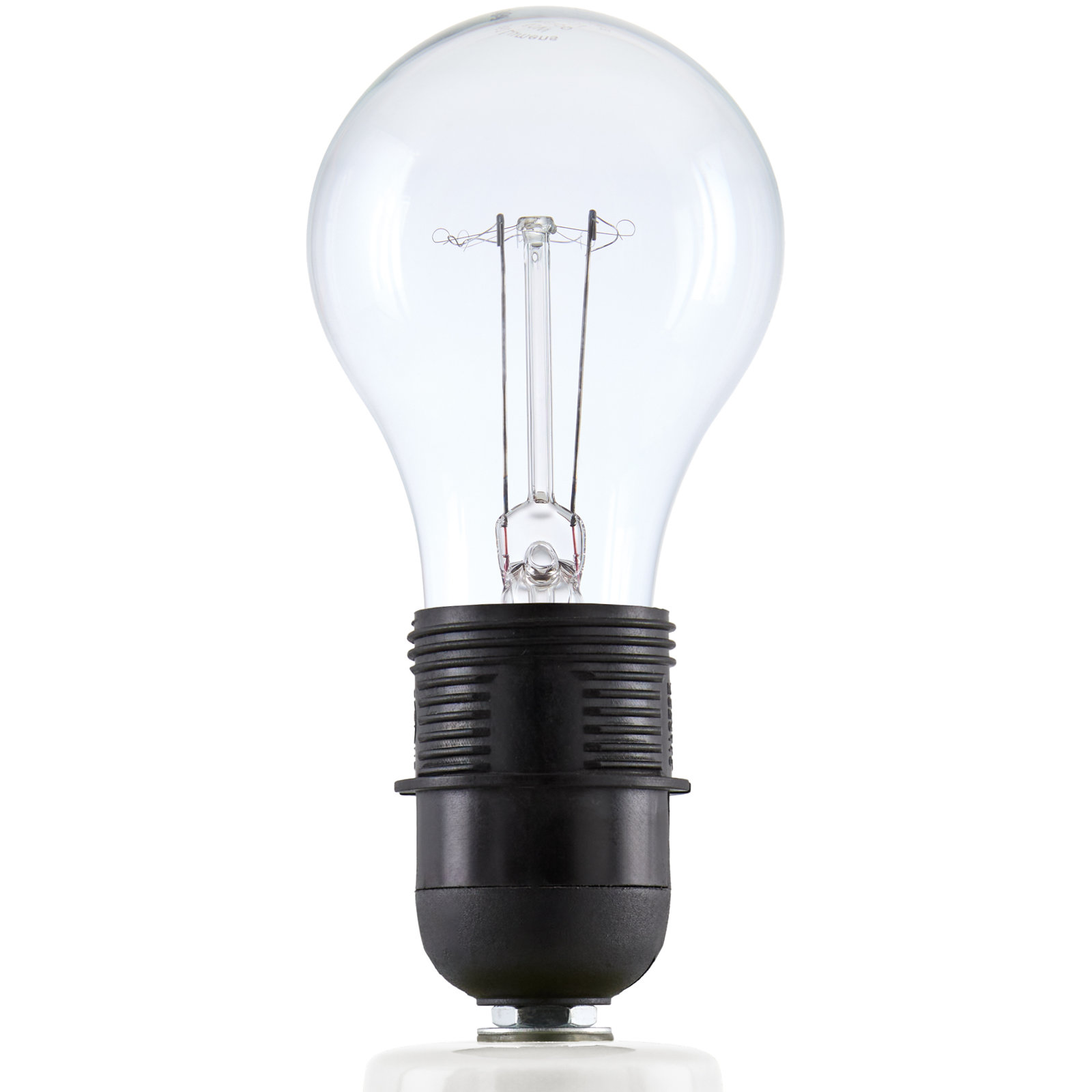 Momsen Colored Scallop Shade Lamp, White, High Gloss White