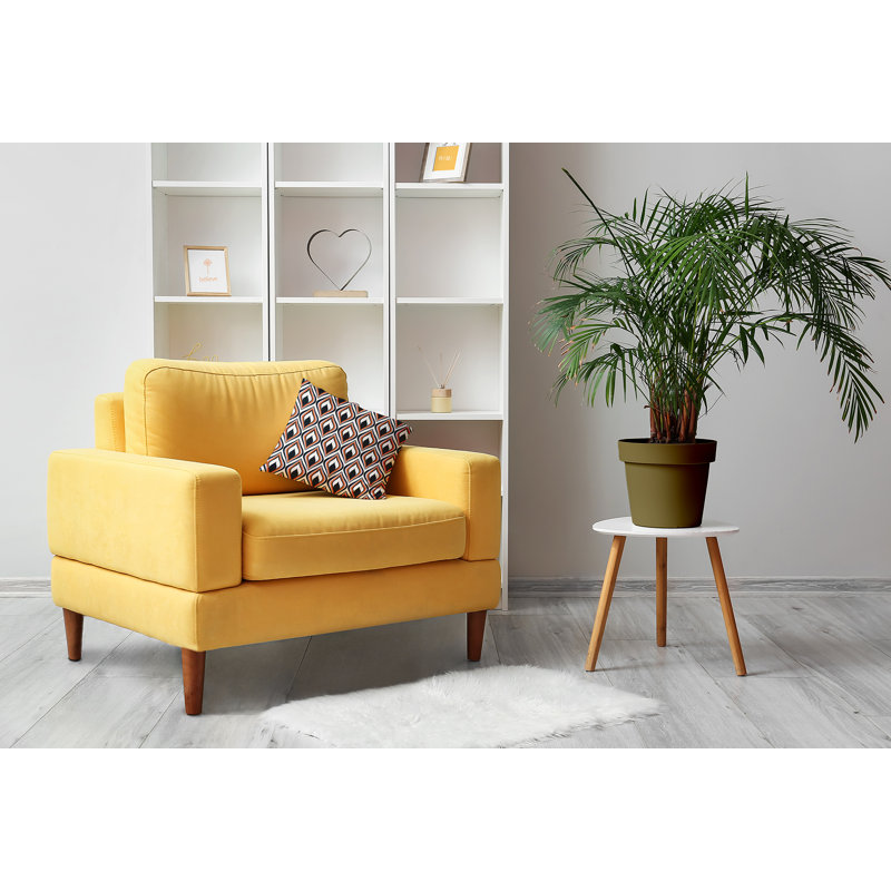  Housse de coussin décoratif en polyester par E by Design, 16 po x 16 po, Noir