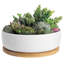 Pot Planter