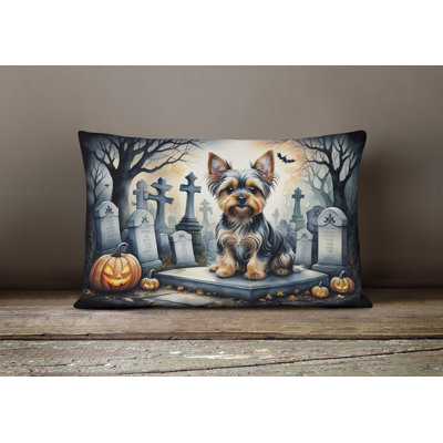 Other/No Pattern Outdoor Throw Pillow