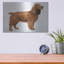 «Cocker Spaniel» par Harro Maass-1904231842