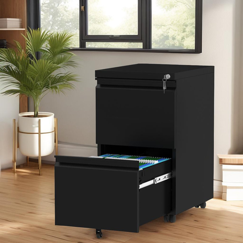 Black Steel 2-Drawer Lockable Mobile Vertical File Cabinet