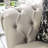 Napoleon Upholstered 76 " Loveseat