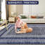 Area Rug