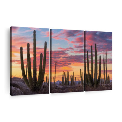 Impression sur toile Baja California Sunrise