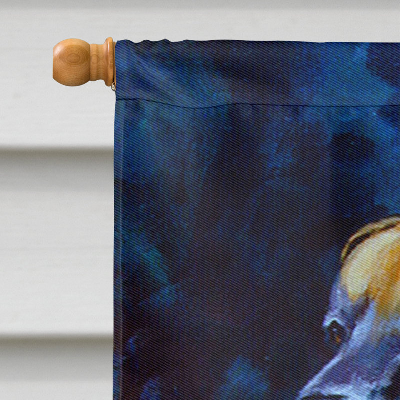 Drapeau de maison 40 po x 28 po Great Dane