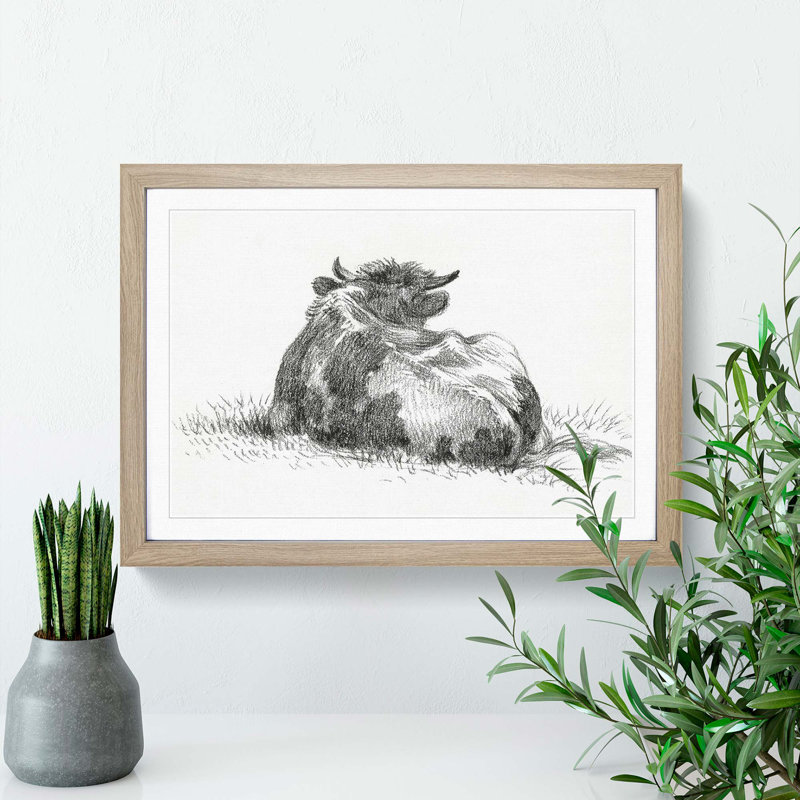 Rear of a Cow by Jean Bernard - Picture Frame Drawing Print, 27cm H x 36cm W x 2cm D, Oak Framed