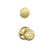 Bright Brass