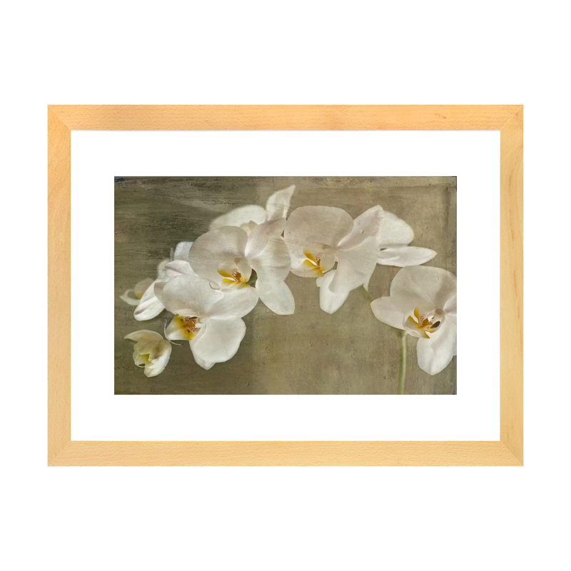 Orchidée peinte - reproduction d'art, Papier encadré de bois naturel, H 16 po x l 24 po x P 1 po
