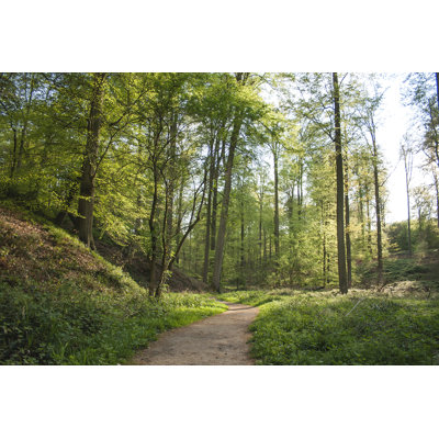 Green Forest - Wrapped Canvas Print