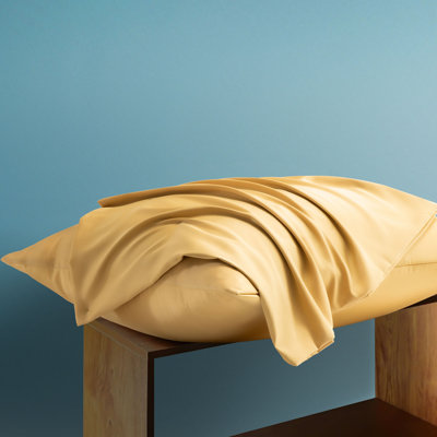 Silk Luxe Pillowcases (set of two)