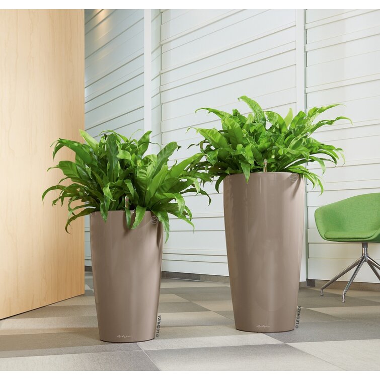 Lechuza Rondo Self-Watering Planter